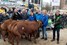 Foto Rene in de ring met collectie 