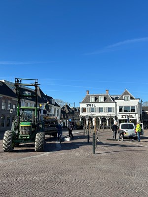 IMG_6495