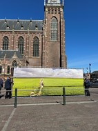 IMG_6617