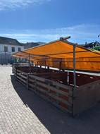 IMG_6735