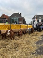 IMG_7142