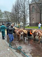 IMG_7083