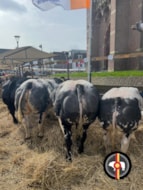 DE7CB2ED-1A50-486F-BE9D-208975CABE0C