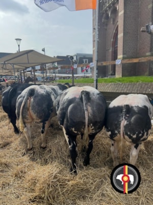 DE7CB2ED-1A50-486F-BE9D-208975CABE0C