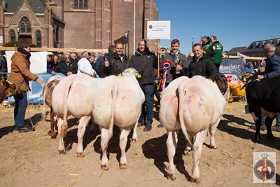 Rubriek 96 - Slachtvee Bedrijfscollectie - Mts. Heijdra-Krijnen - Weesp