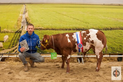 Algemeen Kampioenen 228 Weidevee/ Fokkerij mannelijk 5-12 maanden - 61 - Vleesveehouderij Spronk - Zoeterwoude