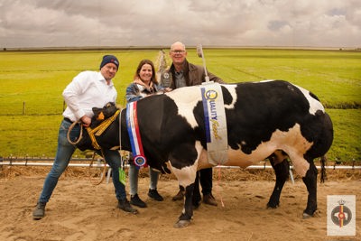 Algemeen Kampioenen 128 Slachtvee vrouwelijk - 113 - Veehandel Patrick van den Berg - Herveld