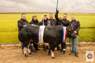 Algemeen Kampioenen 178 Slachtvee mannelijk - 156 - EG Slachterij Jos & Roy Havermans - Wagenberg