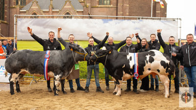 Kampioenen Mannelijk en Vrouwelijk Slachtvee