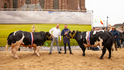 Algemeen kampioen Mannelijk en Vrouwelijk Slachtvee