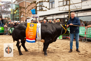 Algemeen Kampioen Vrouwelijk Slachtvee, Veehandel Patrick van den Berg, Herveld