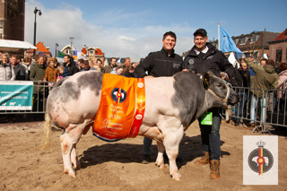 Winnaar Mannelijk Slachtvee, Leroy den Herder en Ludo van der Poel/Ossendrecht