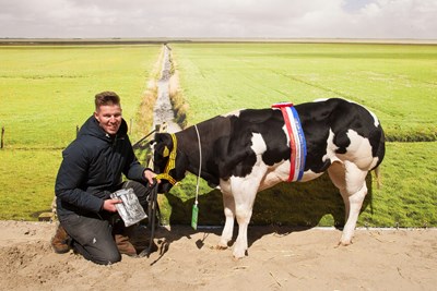 Rubriek 238: Roel Hendriks - Landhorst.